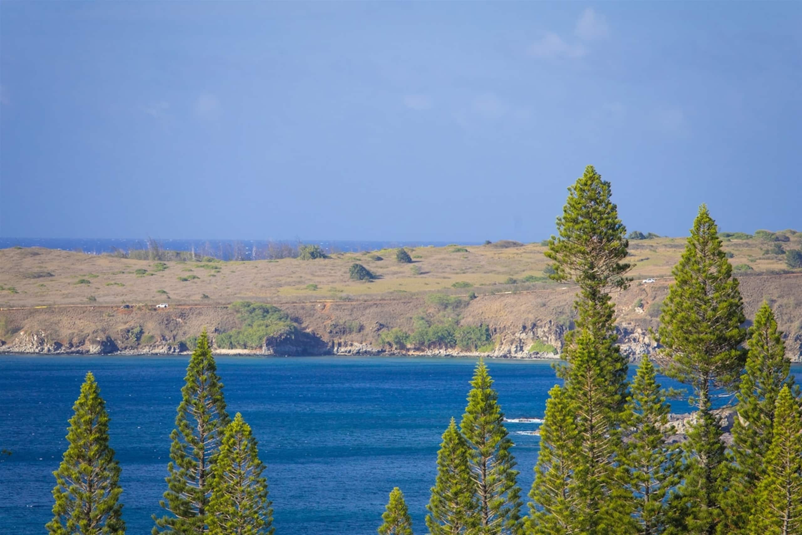Villa in Lahaina · ★4.92 · 1 bedroom · 2 beds · 1.5 baths - Image 19
