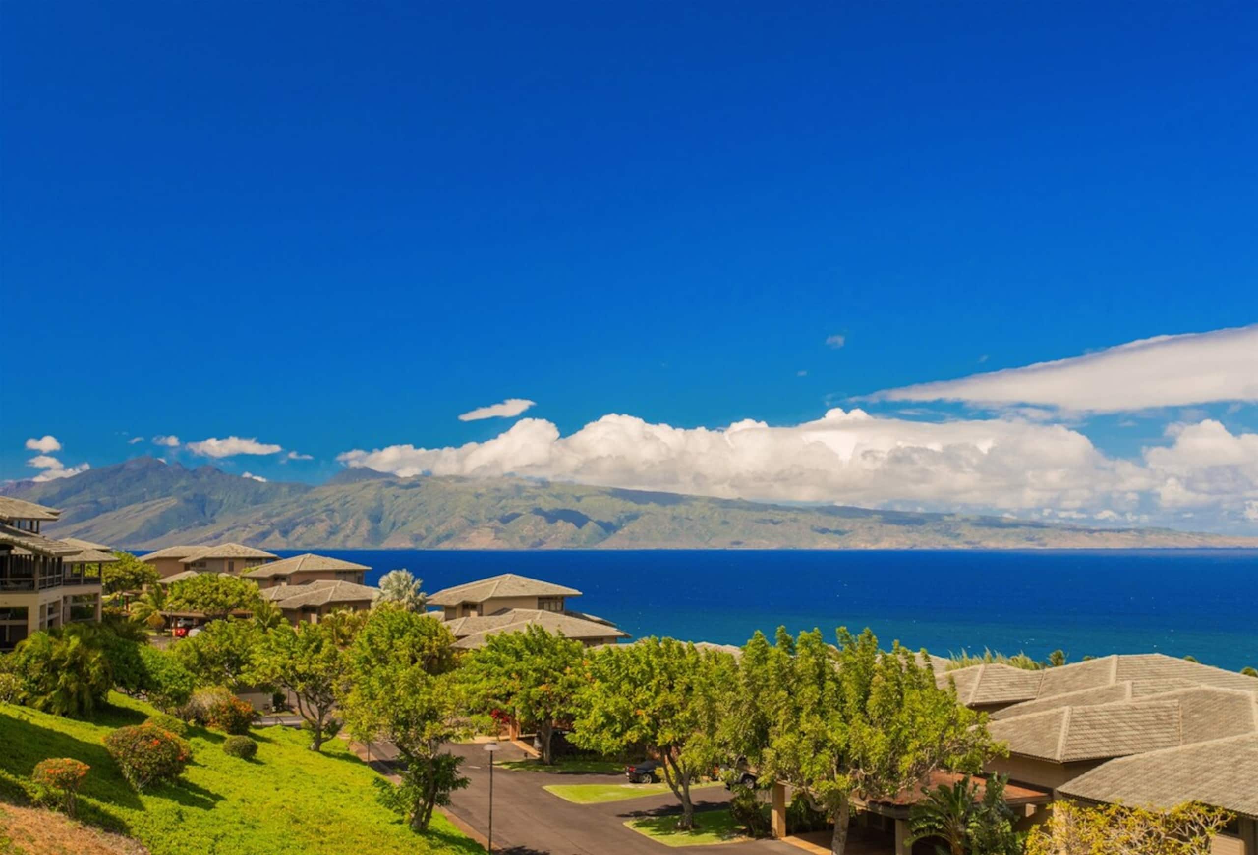 Villa in Lahaina · ★4.92 · 1 bedroom · 2 beds · 1.5 baths - Image 4