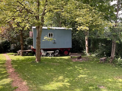 Successful Airbnb property: Unique shepherds hut full of rustic charm. in Somerset