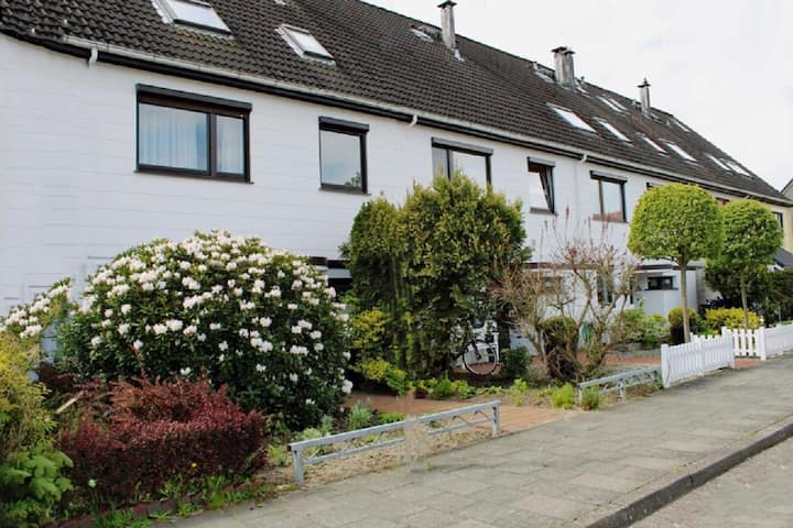 Herzmuschel - Cuxhaven