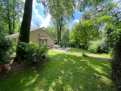 New! Luxury bungalow with sunny garden C26