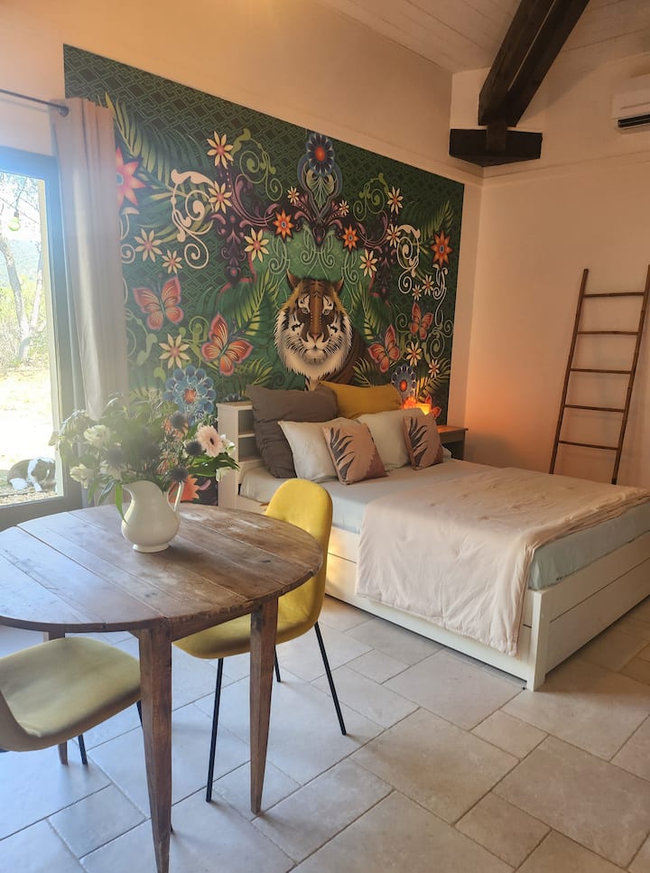 zrekonštruované štúdio 