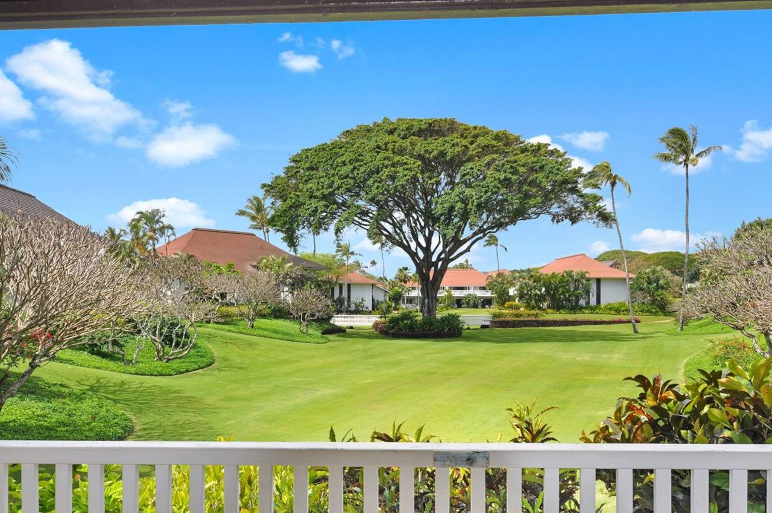 Condo in Koloa · ★4.87 · 1 bedroom · 2 beds · 1 bath - Photo 15