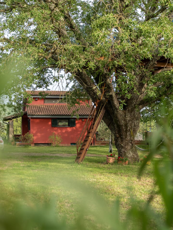 La Casa Rossa Nell’oasi Verde - Bracciano