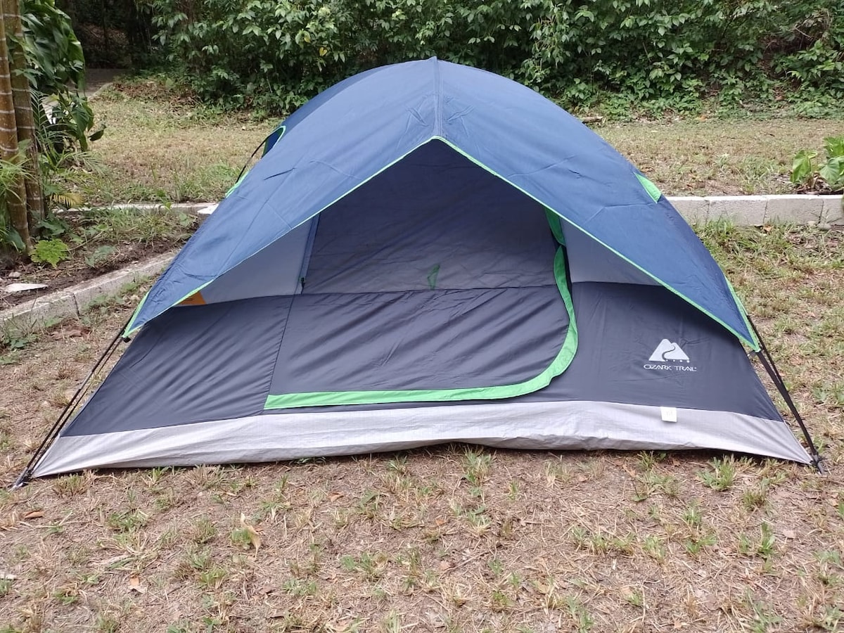 A camping tent is set up on a grassy area, featuring a blue and gray exterior with green accents. The entrance is open, revealing the interior space, which is designed for sleeping. Surrounding vegetation adds a natural backdrop.