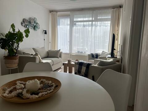 Beach apartment Zoutelande