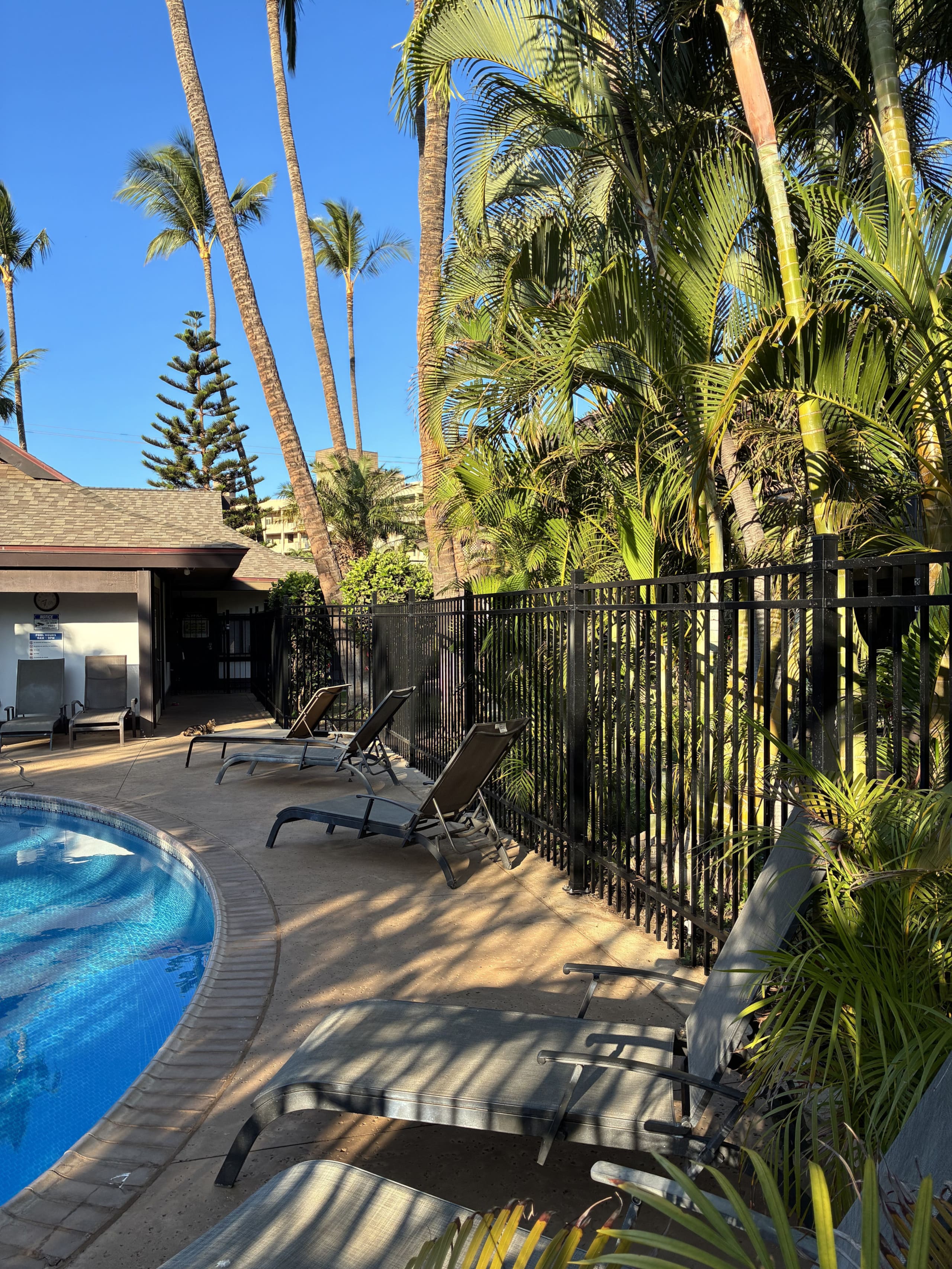 Condo in Kihei · ★4.97 · 1 bedroom · 2 beds · 1 shared bath - Image 72