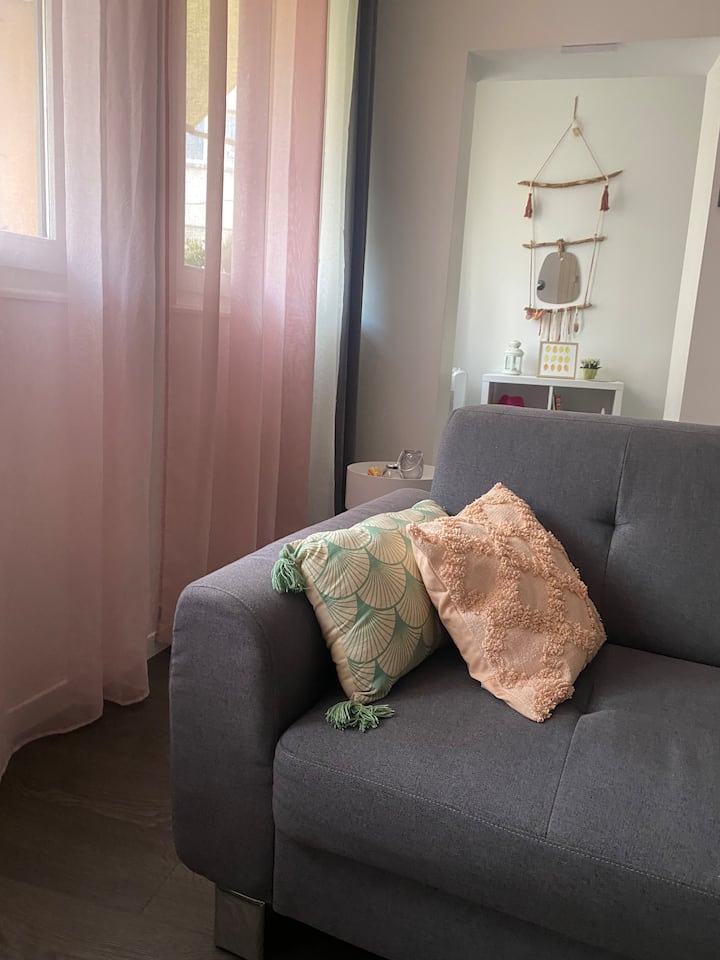 Appartement Spacieux Et Confortable Au Centre - Chambéry