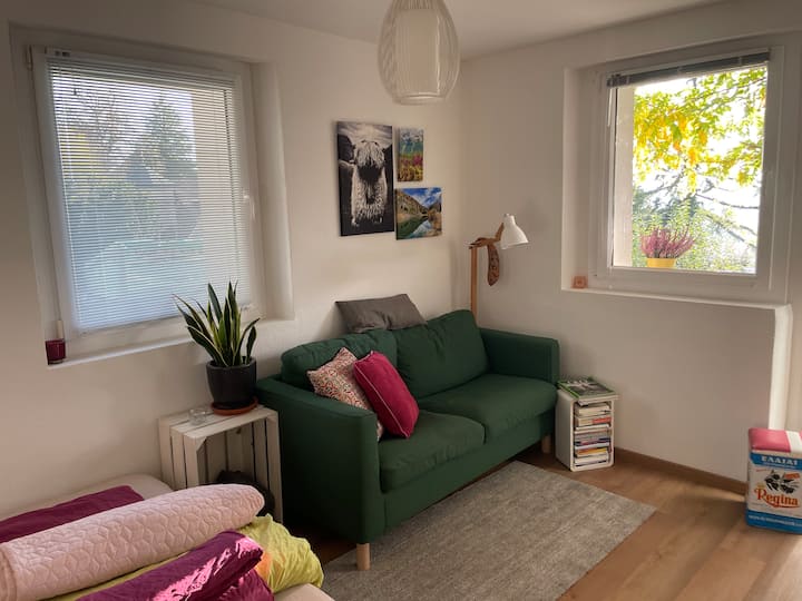 Charmante Wohnung Oberhalb Der Aare Und Dem See - Thoune