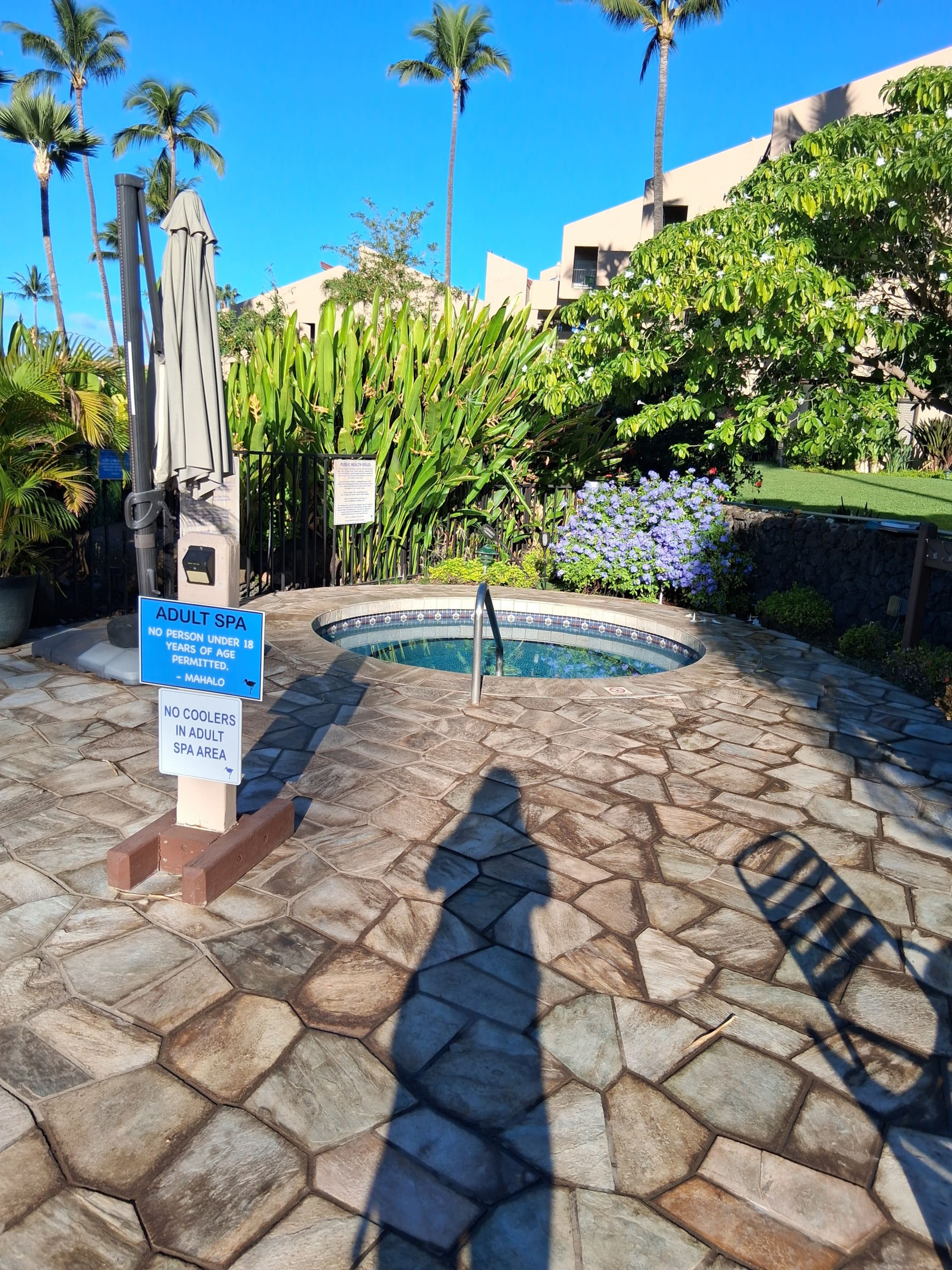Condo in Kihei · ★4.85 · 1 bedroom · 1 bed · 2 private baths - Image 25