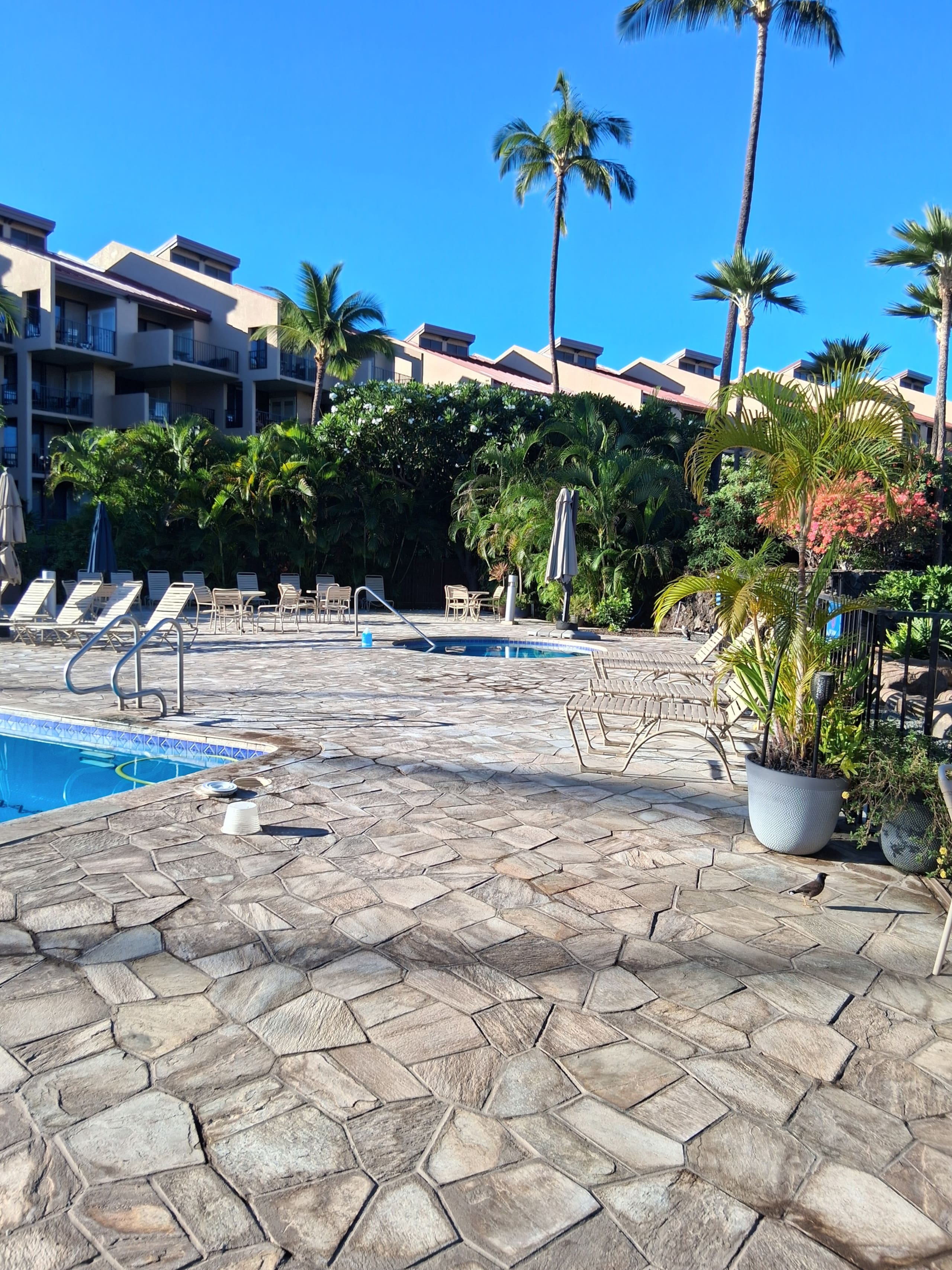 Condo in Kihei · ★4.85 · 1 bedroom · 1 bed · 2 private baths - Image 24