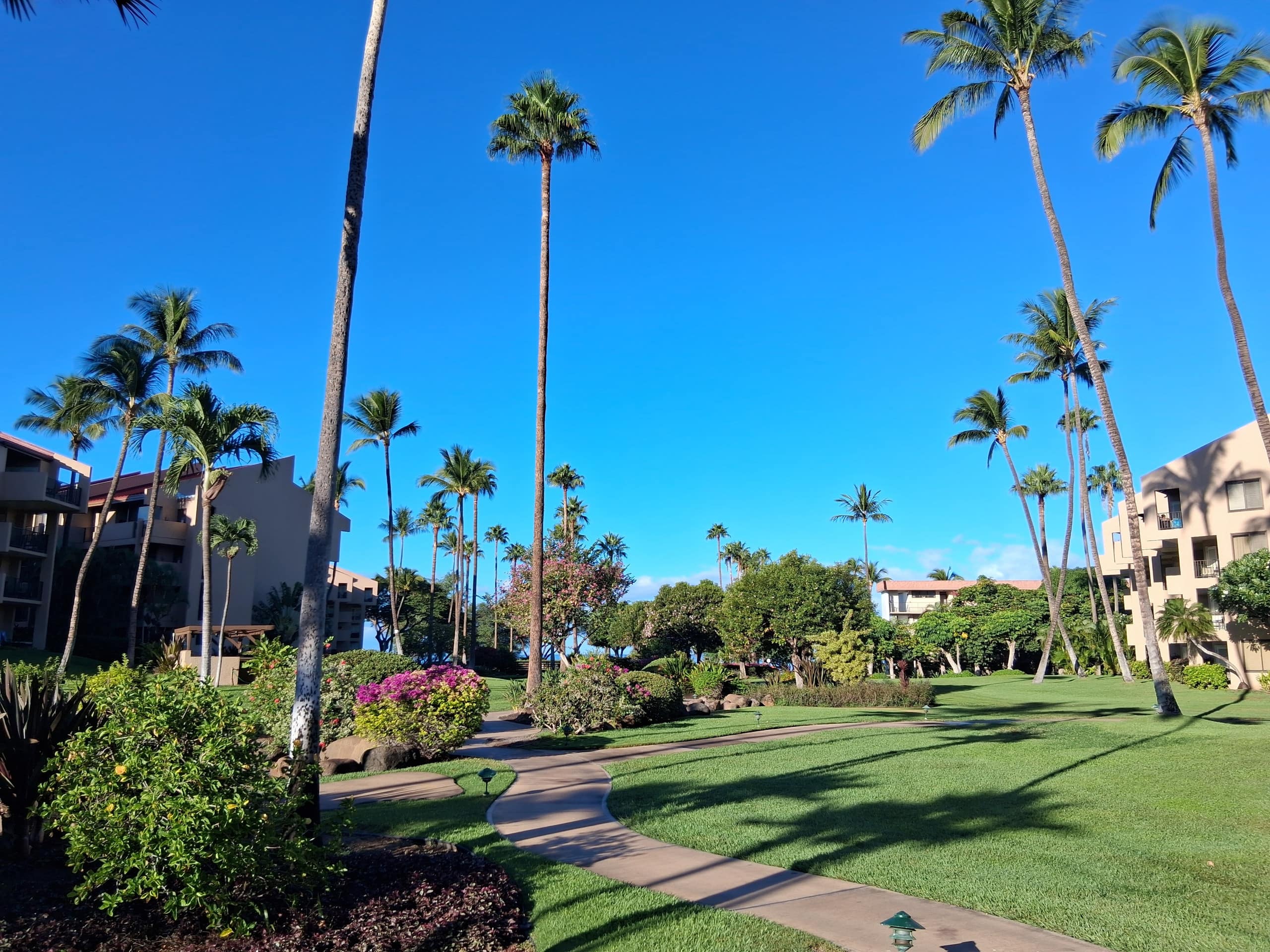 Condo in Kihei · ★4.85 · 1 bedroom · 1 bed · 2 private baths - Image 30