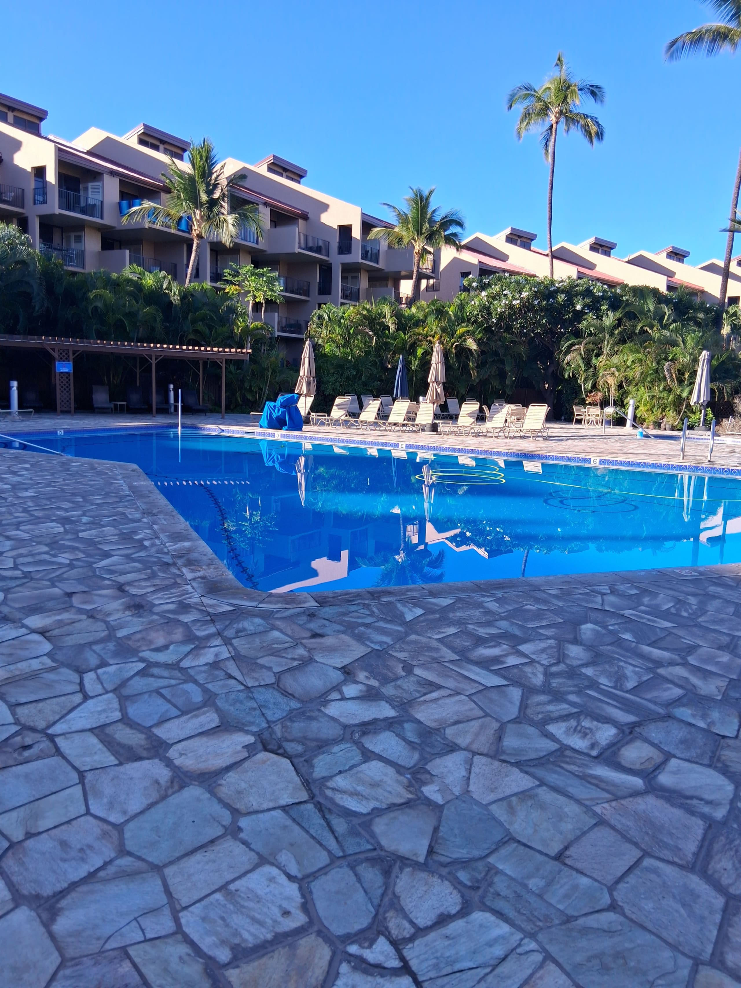Condo in Kihei · ★4.85 · 1 bedroom · 1 bed · 2 private baths - Image 23
