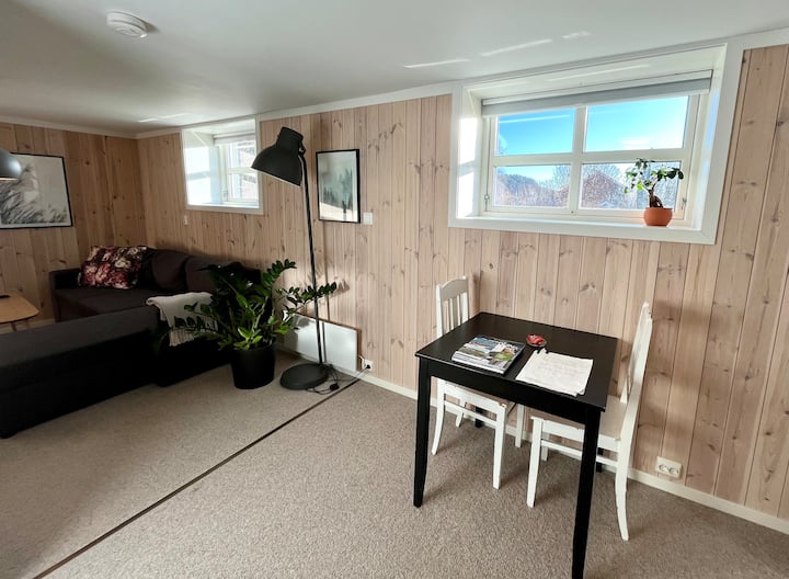 Nice apartment close to the city center, Svinesund and the college