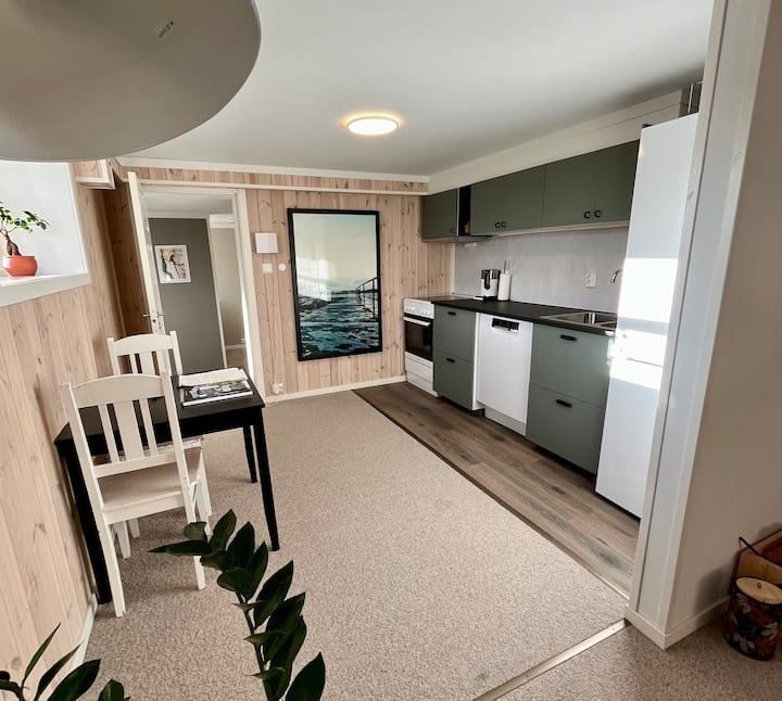 Nice apartment close to the city center, Svinesund and the college