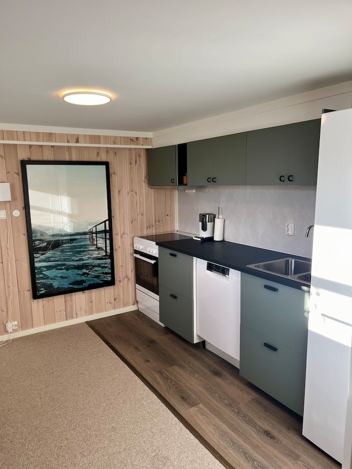 Nice apartment close to the city center, Svinesund and the college