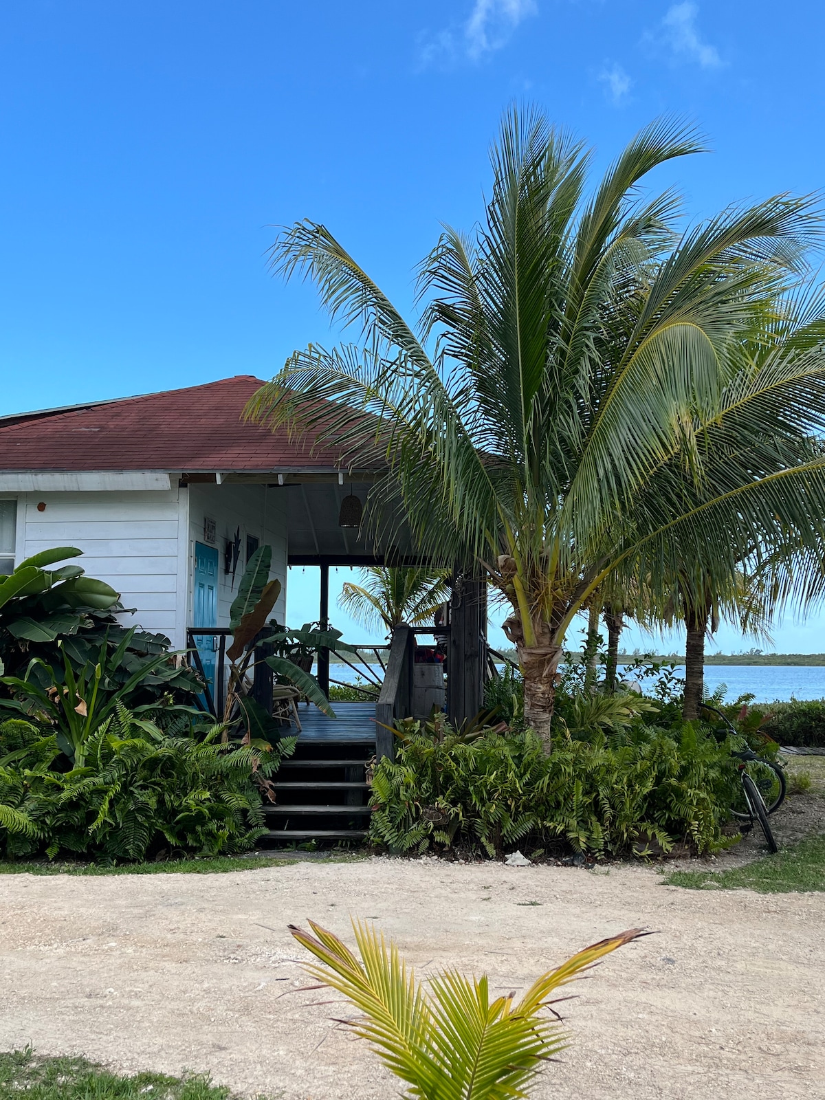 A charming cabin is surrounded by lush greenery, featuring tropical plants and palm trees. A staircase leads up to the entrance, with an inviting view of the water beyond. The clear blue sky complements the cabin's serene atmosphere, enhancing the sense of privacy and relaxation.