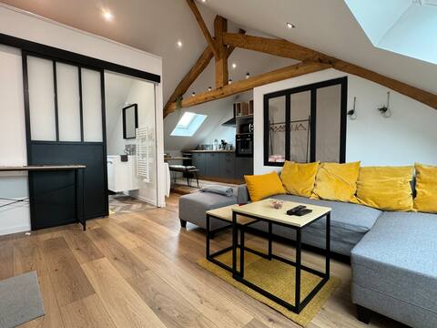 Falaise loft type apartment