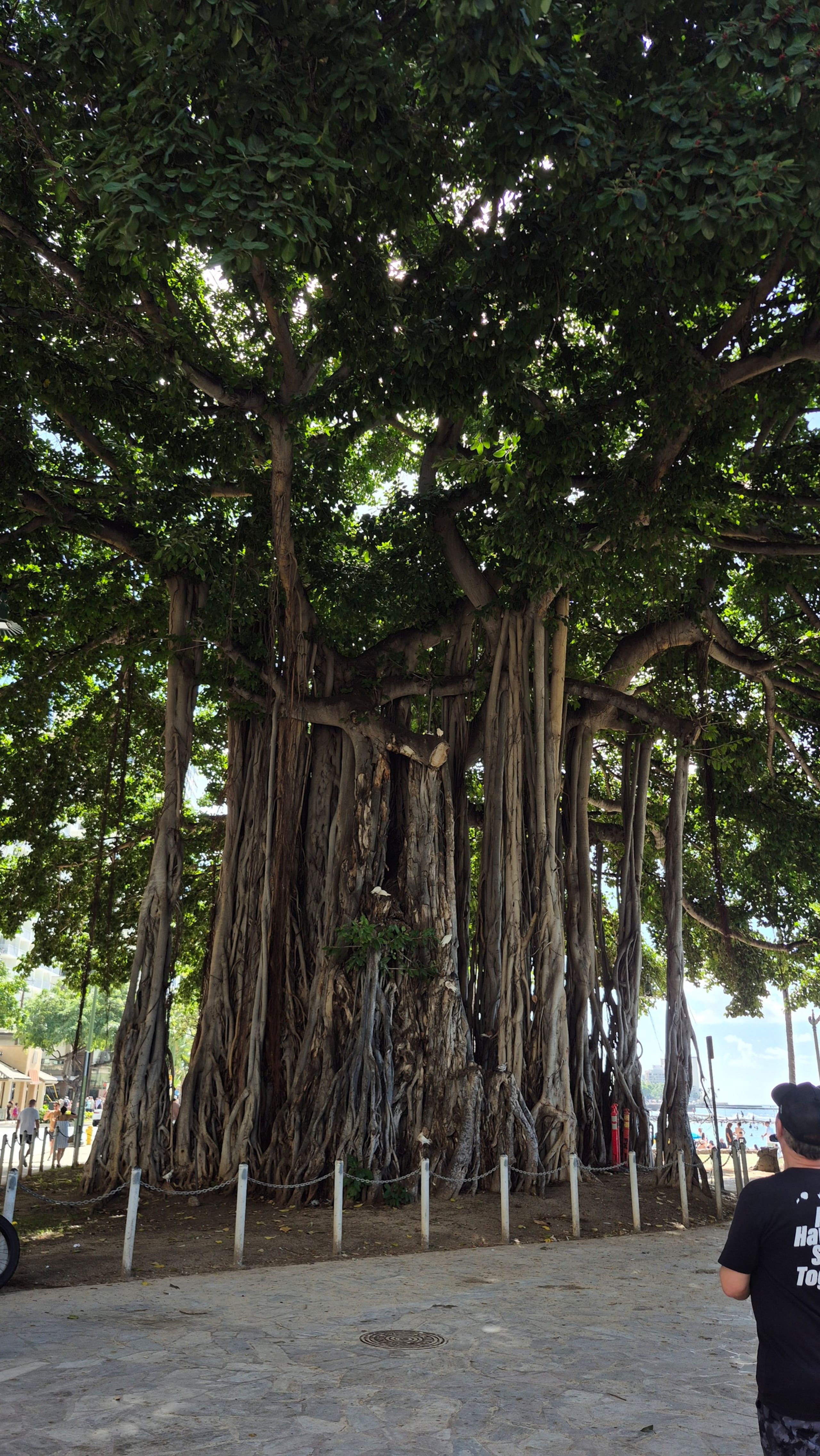 Condo in Honolulu · ★4.76 · Studio · 1 bed · 1 private bath - Image 23