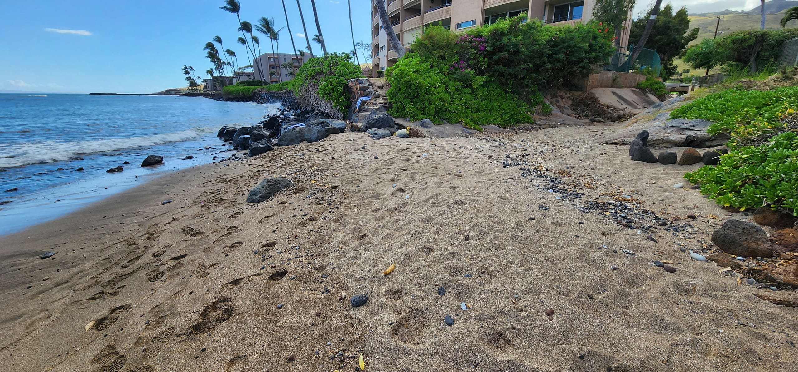 Condo in Wailuku · ★4.96 · 1 bedroom · 1 bed · 1 bath - Image 51