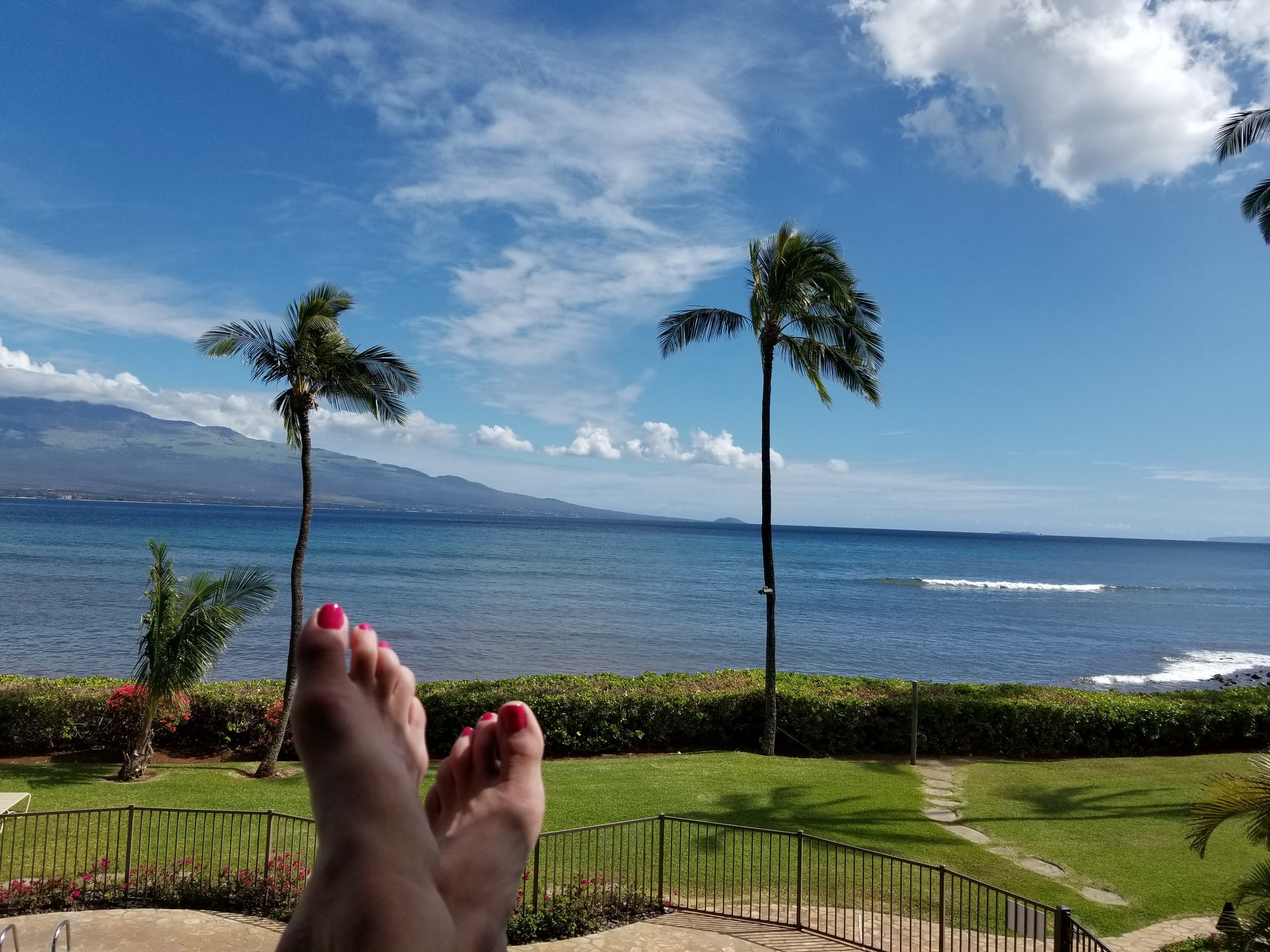 Condo in Wailuku · ★4.96 · 1 bedroom · 1 bed · 1 bath - Image 67