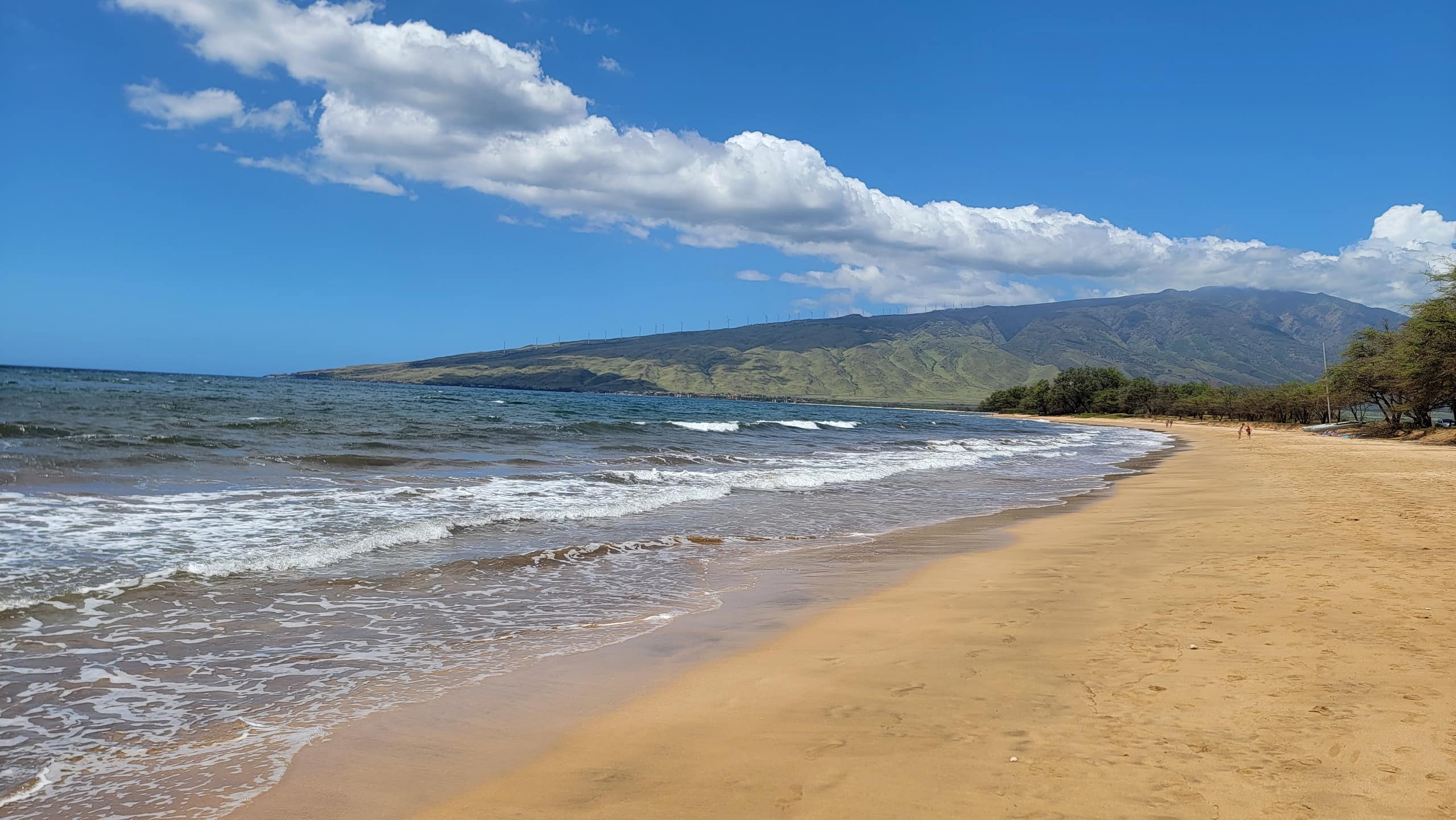Condo in Wailuku · ★4.96 · 1 bedroom · 1 bed · 1 bath - Image 73