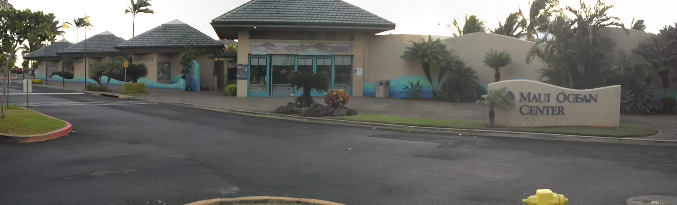 Condo in Wailuku · ★4.96 · 1 bedroom · 1 bed · 1 bath - Image 76