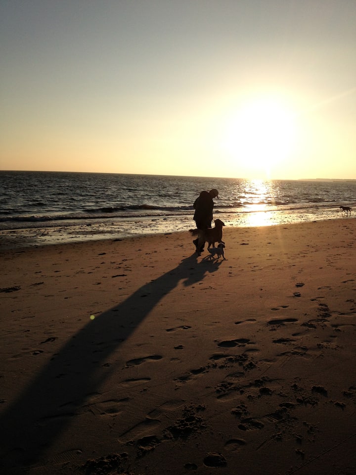 Perfect Beach Walk Home! - Brewster, MA