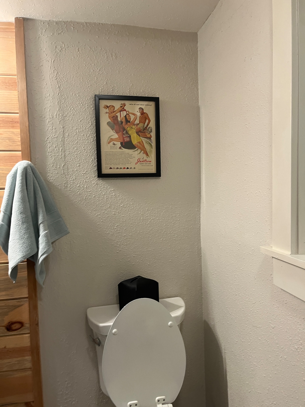 A compact bathroom space features a white toilet adjacent to a wooden wall. Above the toilet, a framed vintage-style artwork displays a lively scene. A light blue towel is hung on a hook, adding a soft touch to the neutral-toned walls.