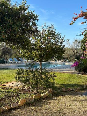 Villa Cardoncello gallery image 4