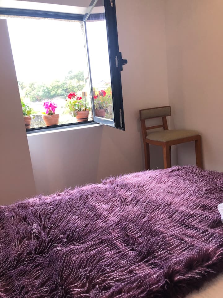 Habitación 2
