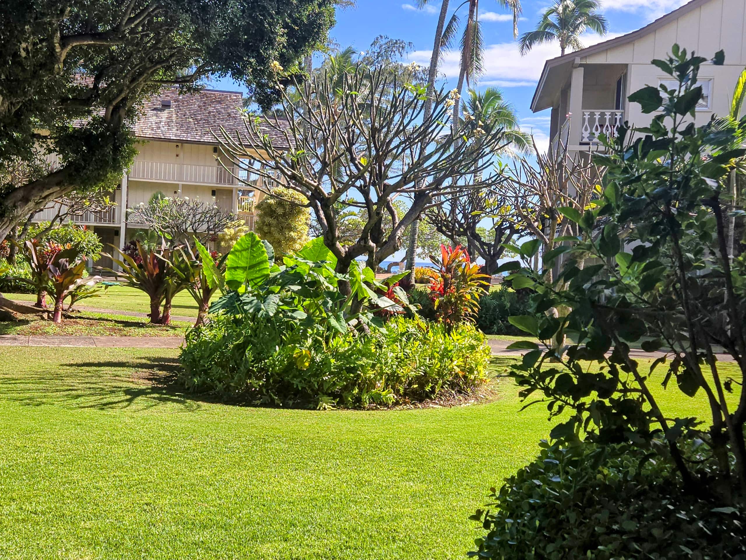 Blue Ocean Breeze Studio 1-min to beach, pool, AC - Photo 10