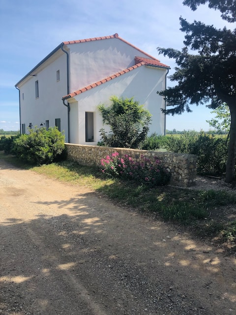 Character house in the heart of the vineyards