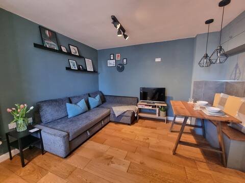 Popular Airbnb listing: Modern & bright 1-bed waterfront flat in Leith in Leith