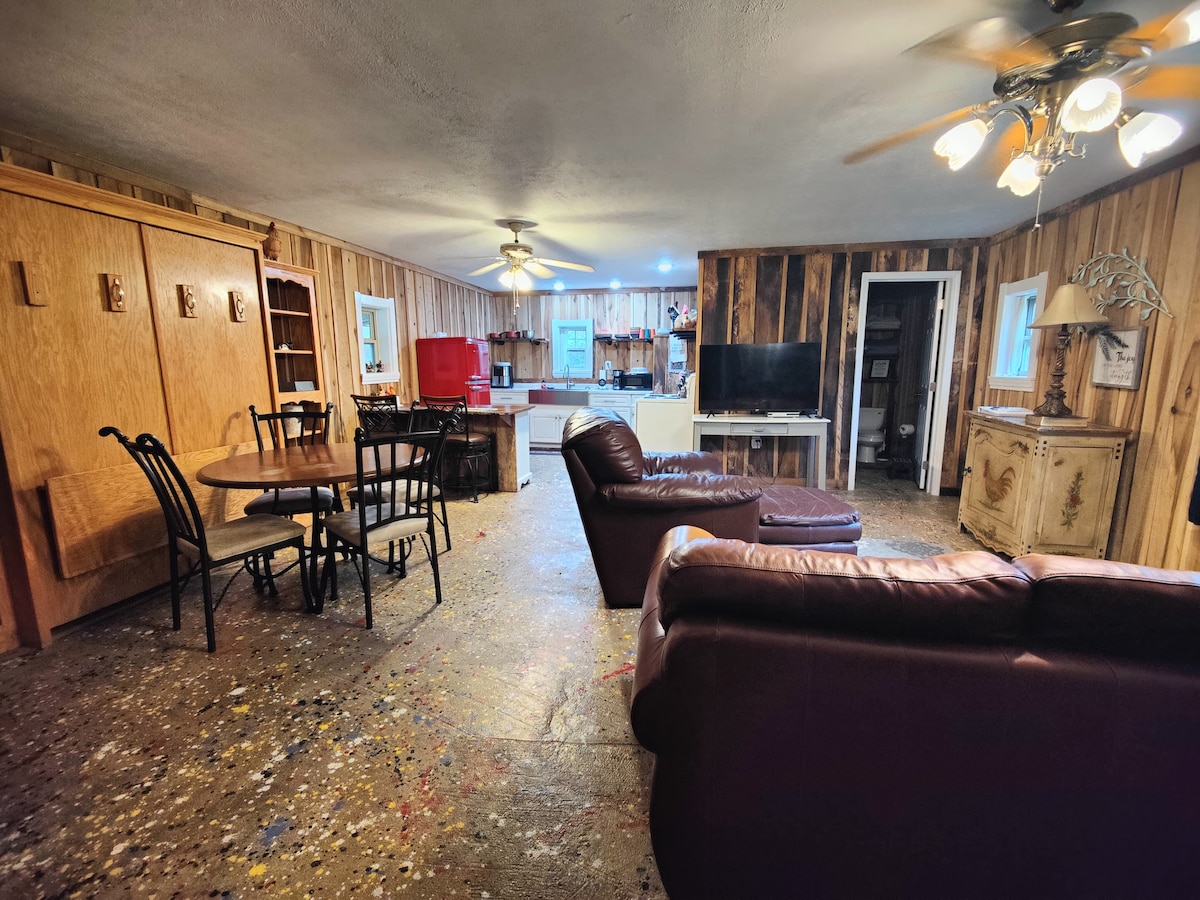 סלון עם מיטת מרפי