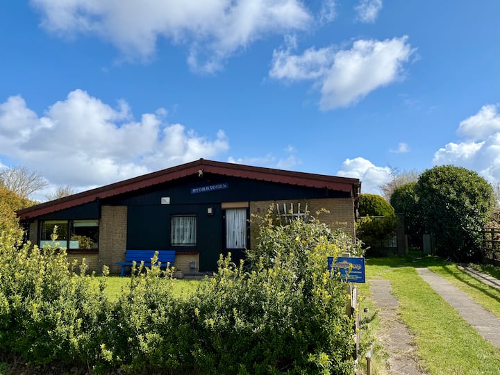 Beach Bungalow De Stormvogel - Texel