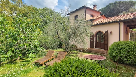 Airbnb con migliori performance: Villa with garden in Agriturismo 9 km from the sea a Montescudaio