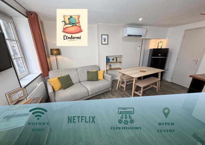 L'endormi 3 - F1 Duplex - 4 Voyageurs - Climatisé - Clermont-Ferrand