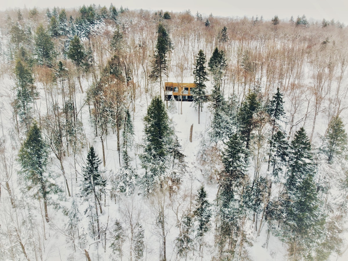 Aerial view of a cabin nestled among snow-covered trees in a tranquil winter landscape. The surrounding forest features a variety of coniferous and deciduous trees, creating a serene natural atmosphere. The cabin stands out with its wooden façade, complementing the snowy surroundings.