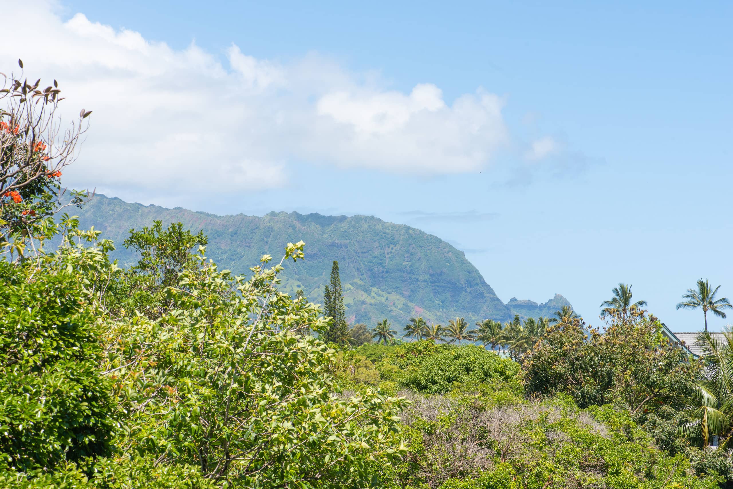 Condo in Princeville · ★4.9 · Studio · 1 bed · 1 bath - Image 17