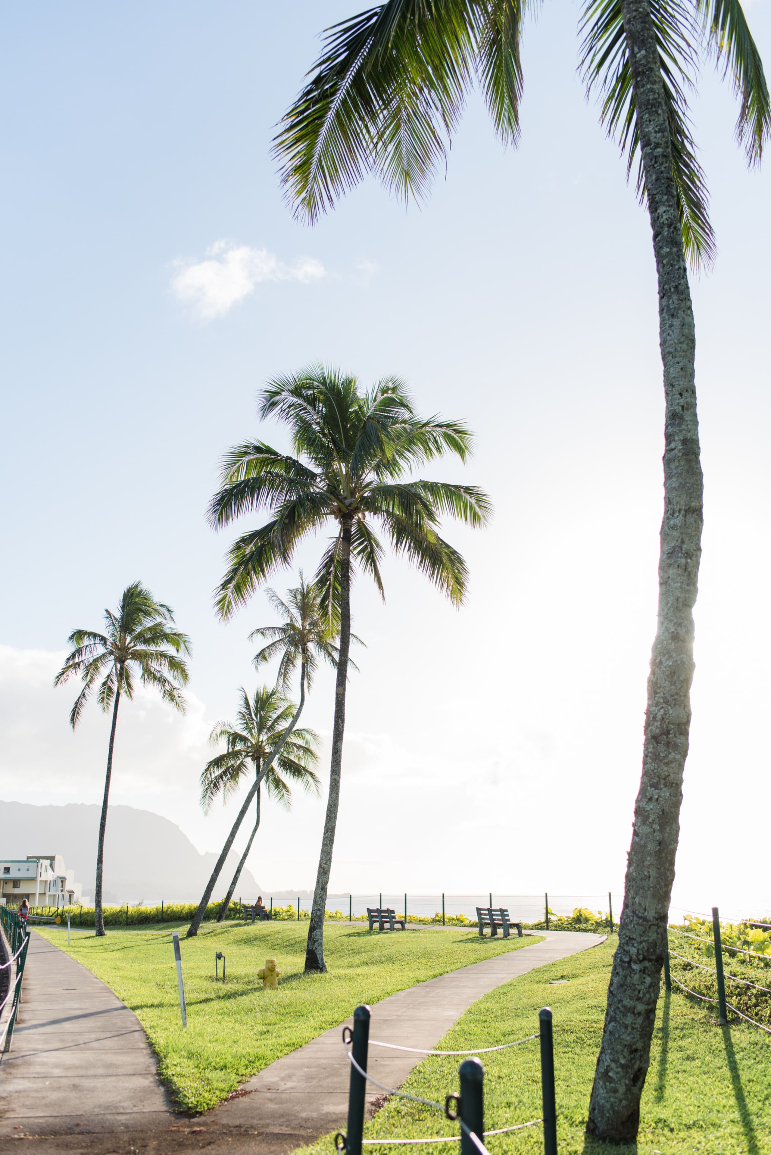 Condo in Princeville · ★4.9 · Studio · 1 bed · 1 bath - Image 21