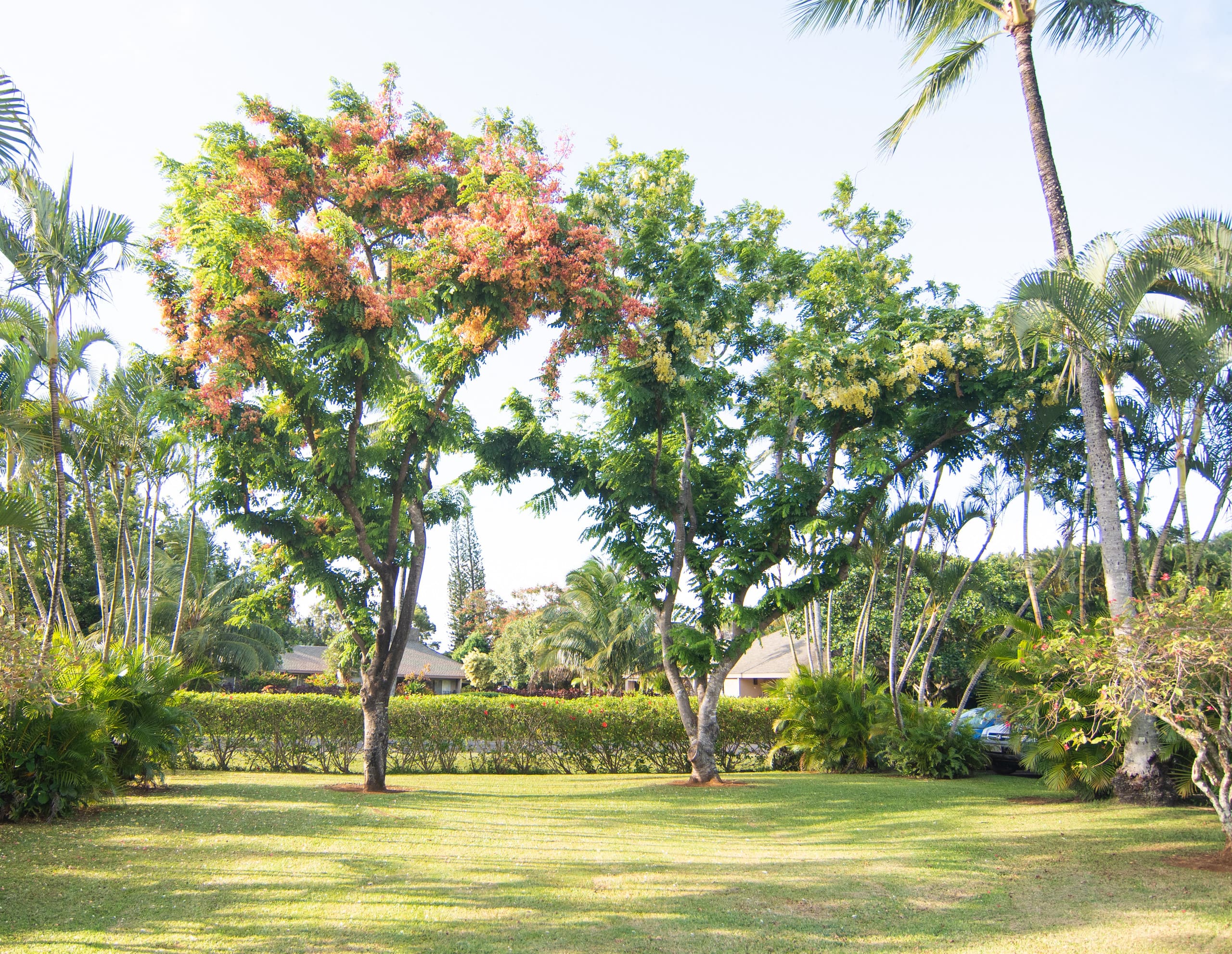 Condo in Princeville · ★4.9 · Studio · 1 bed · 1 bath - Image 14