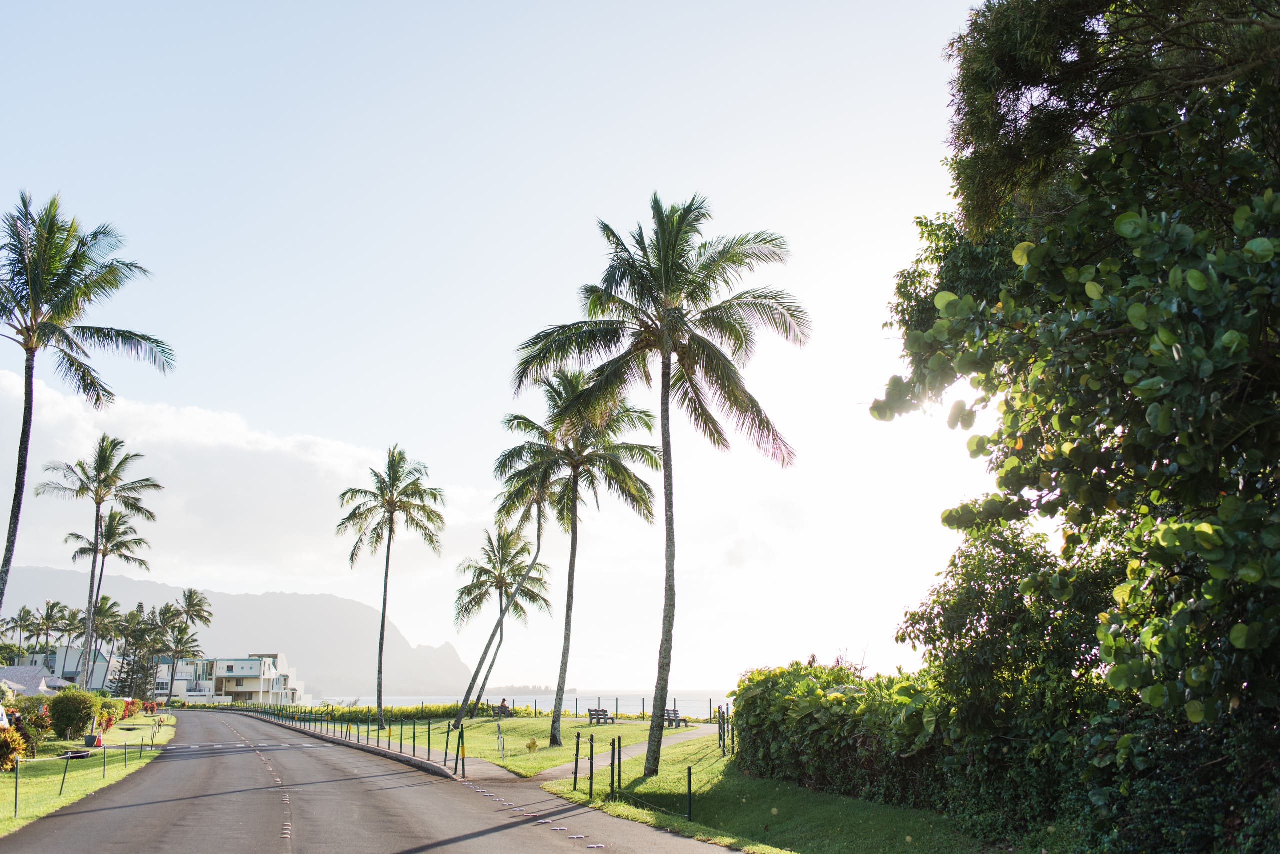 Condo in Princeville · ★4.9 · Studio · 1 bed · 1 bath - Image 19