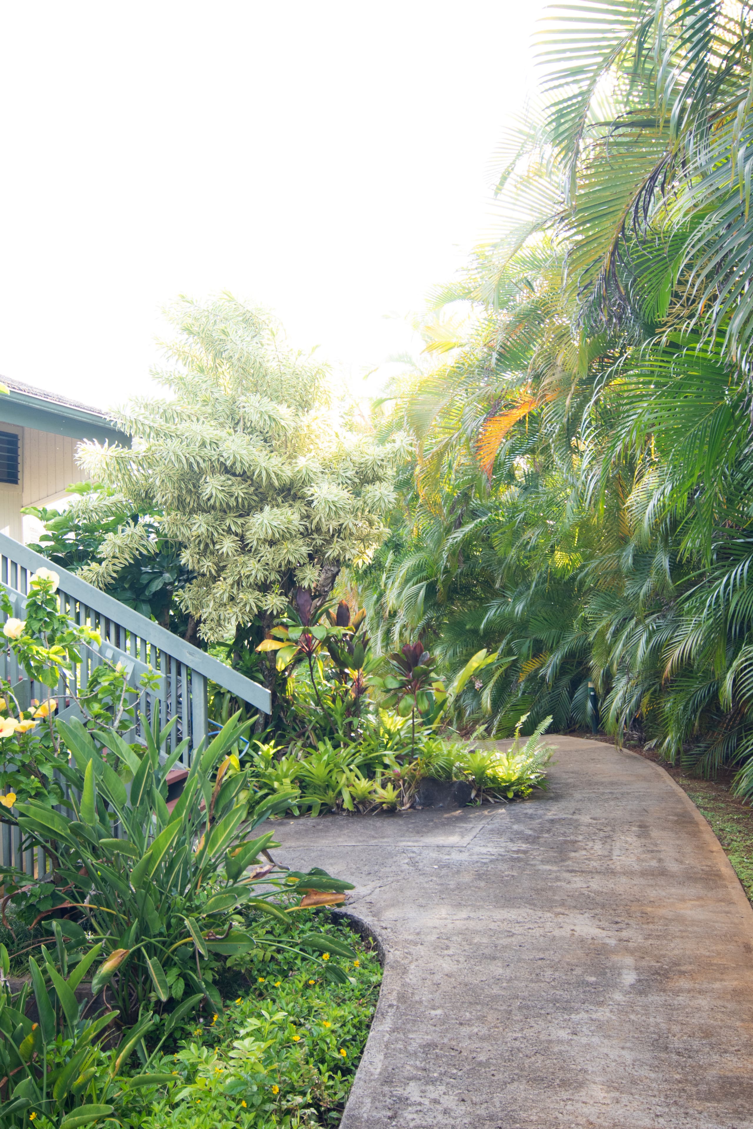 Condo in Princeville · ★4.9 · Studio · 1 bed · 1 bath - Image 20