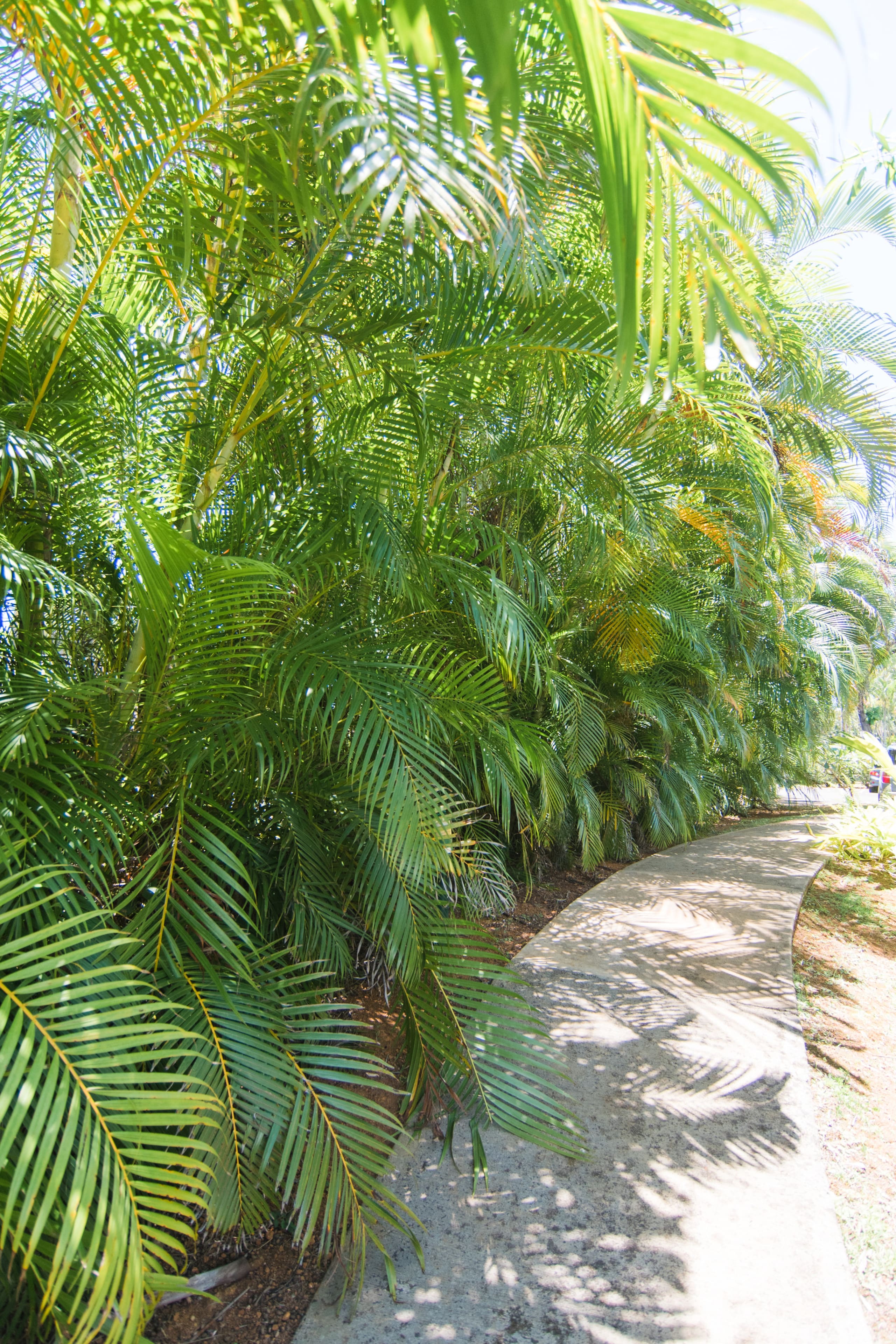 Condo in Princeville · ★4.9 · Studio · 1 bed · 1 bath - Image 15