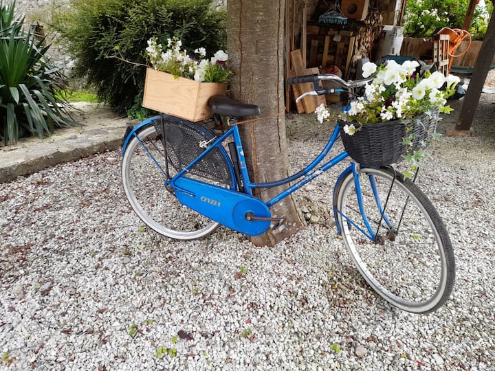 columbus rennrad 57cm Shimano Vintage Steelbike L'Eroica Fahrrad mit Stützrädern Ergotec MTB Lenker Riser Durchmesser:31.6 mm / externe Zugverlegung