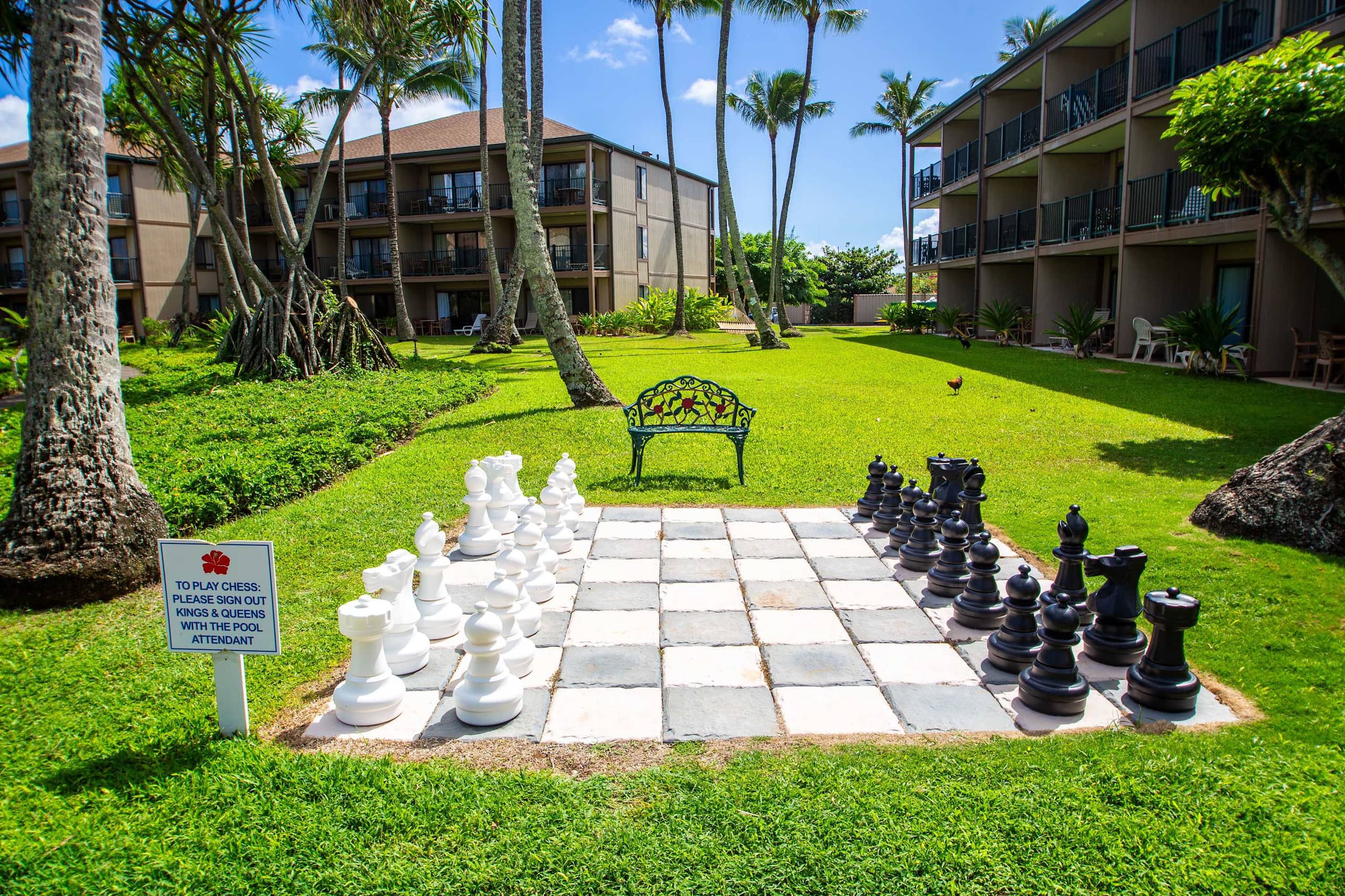 Condo in Kapaa · ★4.69 · 1 bedroom · 1 bed · 1 shared bath - Image 40
