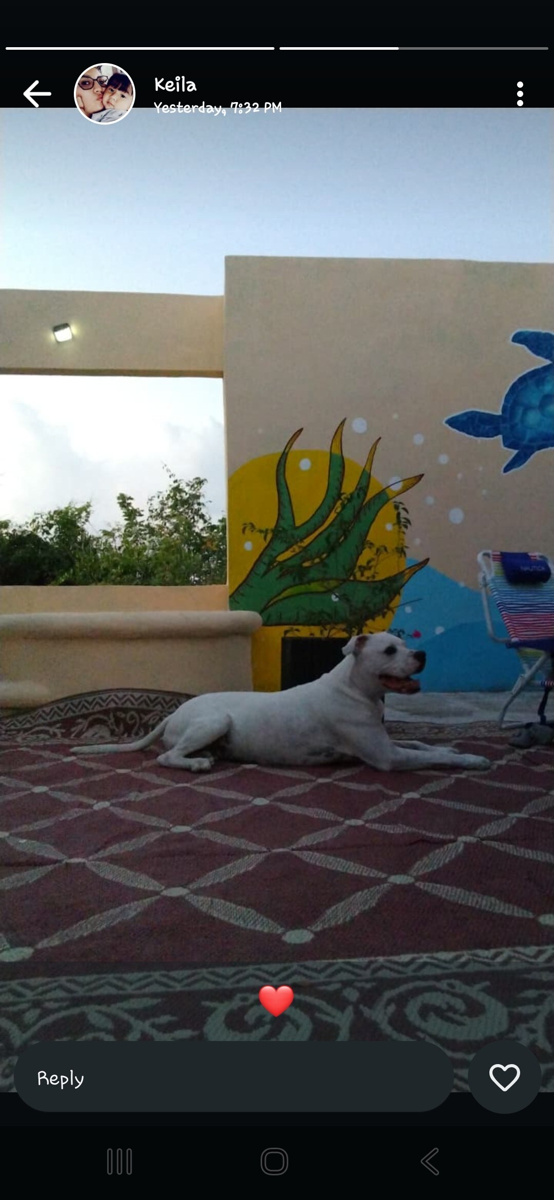 A spacious outdoor area features a colorful mural of a sea turtle on a light-colored wall. A dog lies comfortably on the textured rug, with greenery visible in the background. The setting is illuminated by soft light, enhancing the peaceful atmosphere.