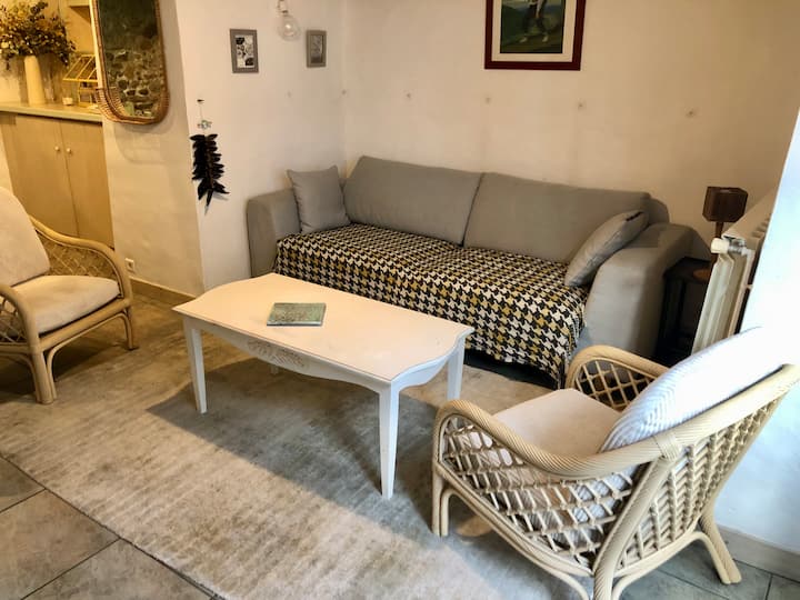 Appartement En Plein Centre Ville Pays Basque - Cambo-les-Bains