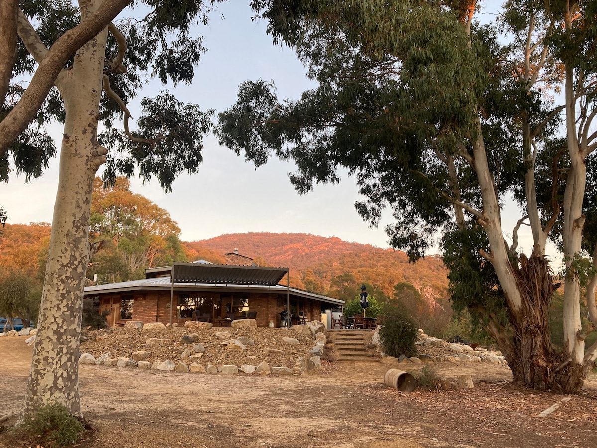 The iconic octagonal home is nestled among large eucalyptus trees, with a path leading to the entrance. Natural stones create a border around the house, and mountains with autumn foliage rise in the background, reflecting the serene beauty of the surrounding bushland.